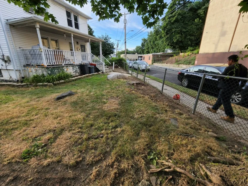 Top-rated landscape installation experts serving Queens, NY - B Landscaping and Tree Services