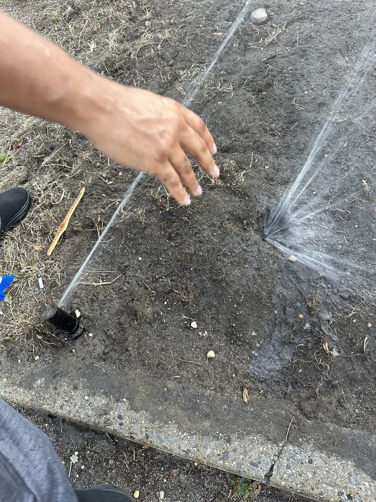 Reliable yard cleanup service for beautiful yards in Queens, NY by B Landscaping and Tree Services