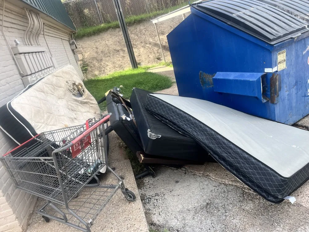 Top-rated yard cleanup service in San Angelo, TX by B-Line Services