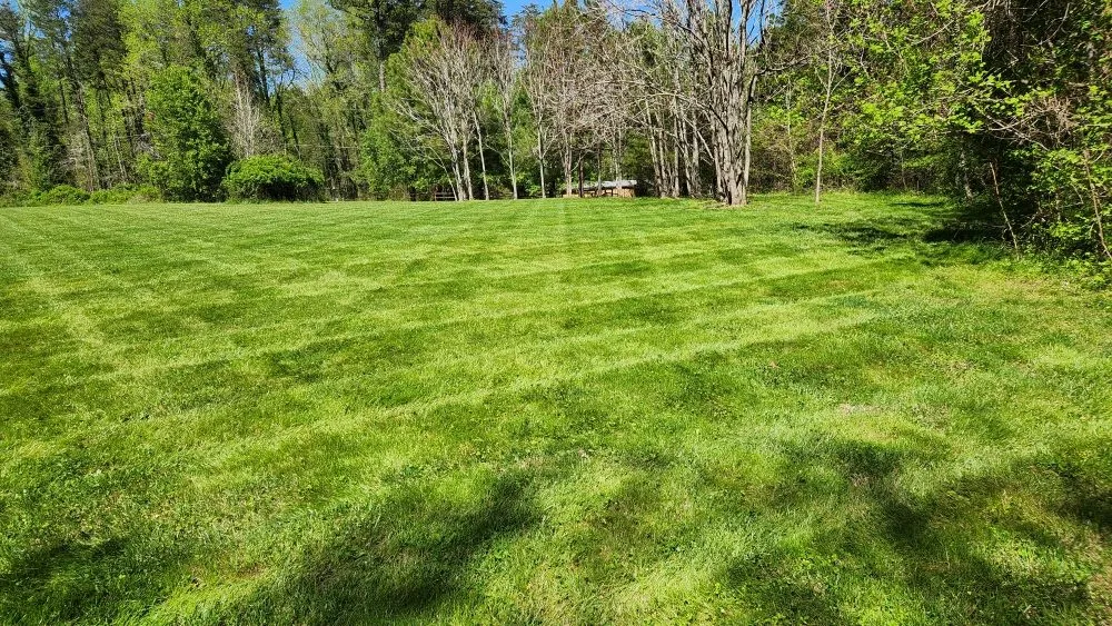 Trusted garden landscaping experts serving McLeansville, NC - B-Love's Lawn Care