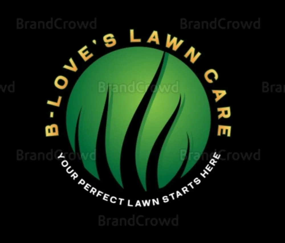 Professional yard cleanup service for homes in McLeansville, NC by B-Love's Lawn Care
