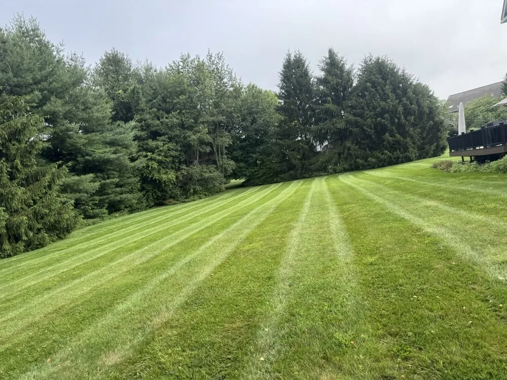 Custom lawn mowing service for residential properties in Aston, PA by B MacQueen Tree & Lawn