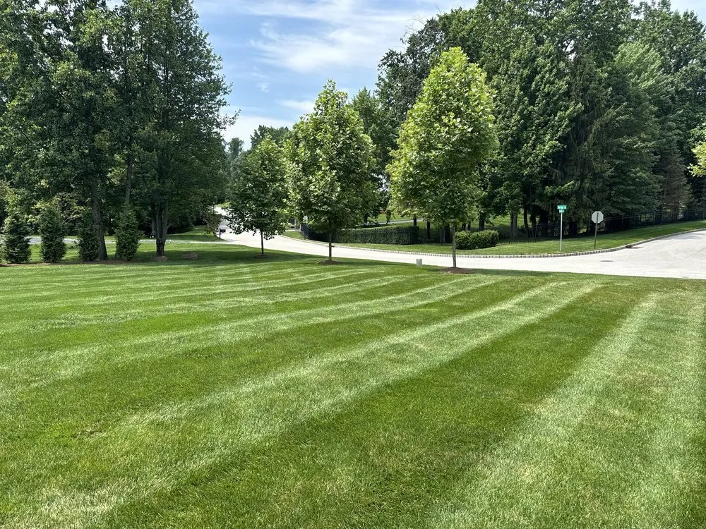 Trusted landscaping services experts serving Aston, PA - B MacQueen Tree & Lawn