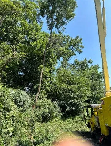 Top-rated residential landscaping in Aston, PA by B MacQueen Tree & Lawn