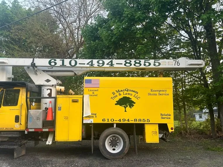 Reliable outdoor landscaping in Aston, PA by B MacQueen Tree & Lawn