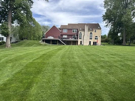 B MacQueen Tree & Lawn Logo