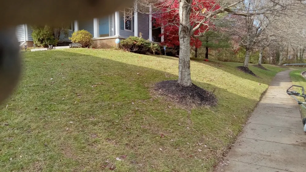 Expert outdoor landscaping with custom design in Baltimore, MD by B More Home Improvement And Landscaping