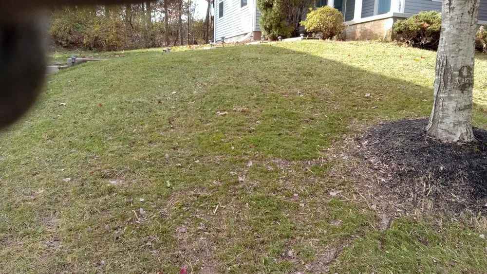 Affordable landscaping services in Baltimore, MD - B More Home Improvement And Landscaping