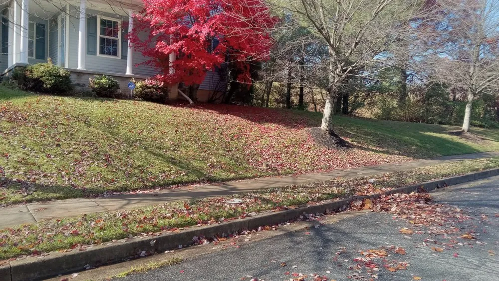 Top-rated landscape installation for residential properties across Baltimore, MD - B More Home Improvement And Landscaping