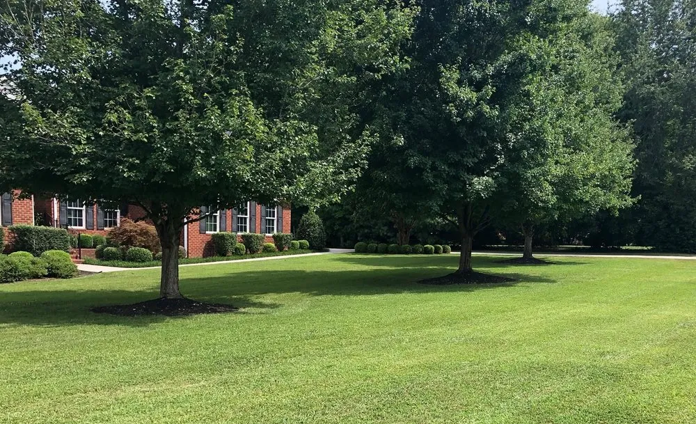 Trusted landscaping services for year-round maintenance in Winchester, TN by B Mo’s Lawn Care