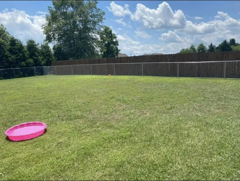 Top-rated yard maintenance for beautiful yards in Winchester, TN by B Mo’s Lawn Care