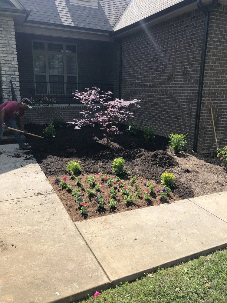 Top-rated lawn care service in Winchester, TN by B Mo’s Lawn Care