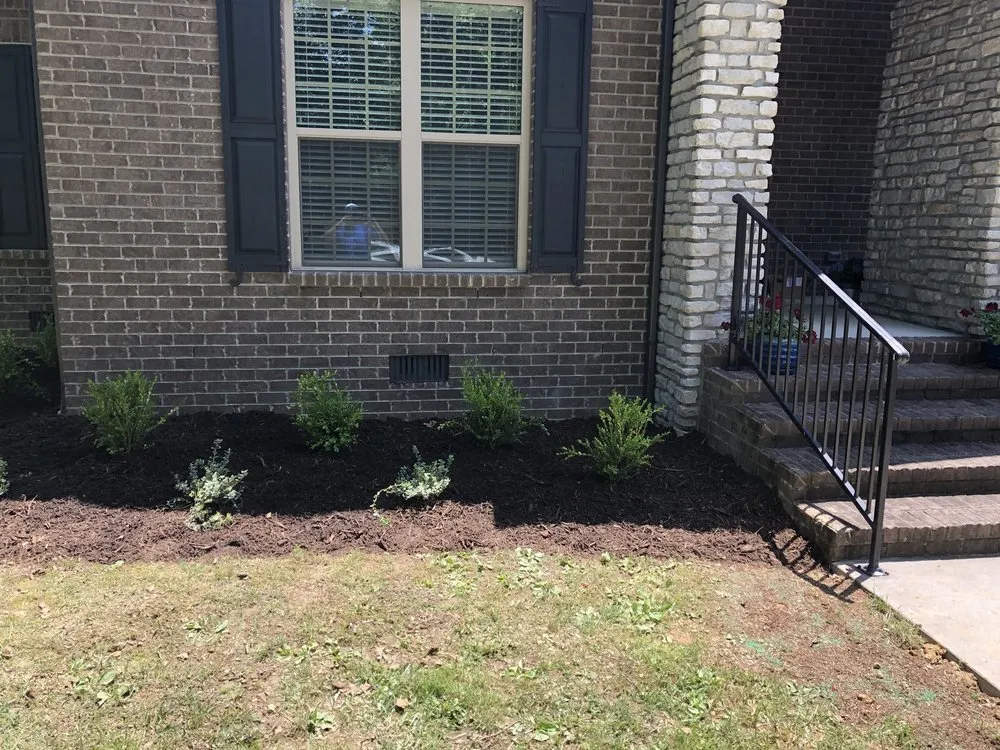 Trusted yard cleanup service in Winchester, TN - B Mo’s Lawn Care