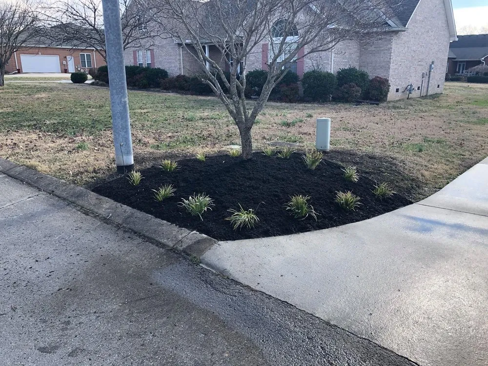 Professional landscaping services for beautiful yards across Winchester, TN - B Mo’s Lawn Care