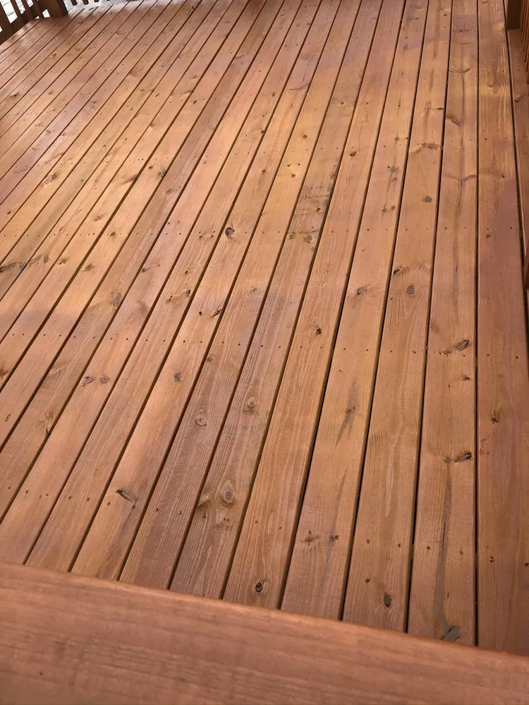 Professional yard cleanup service experts serving Winchester, TN - B Mo’s Lawn Care