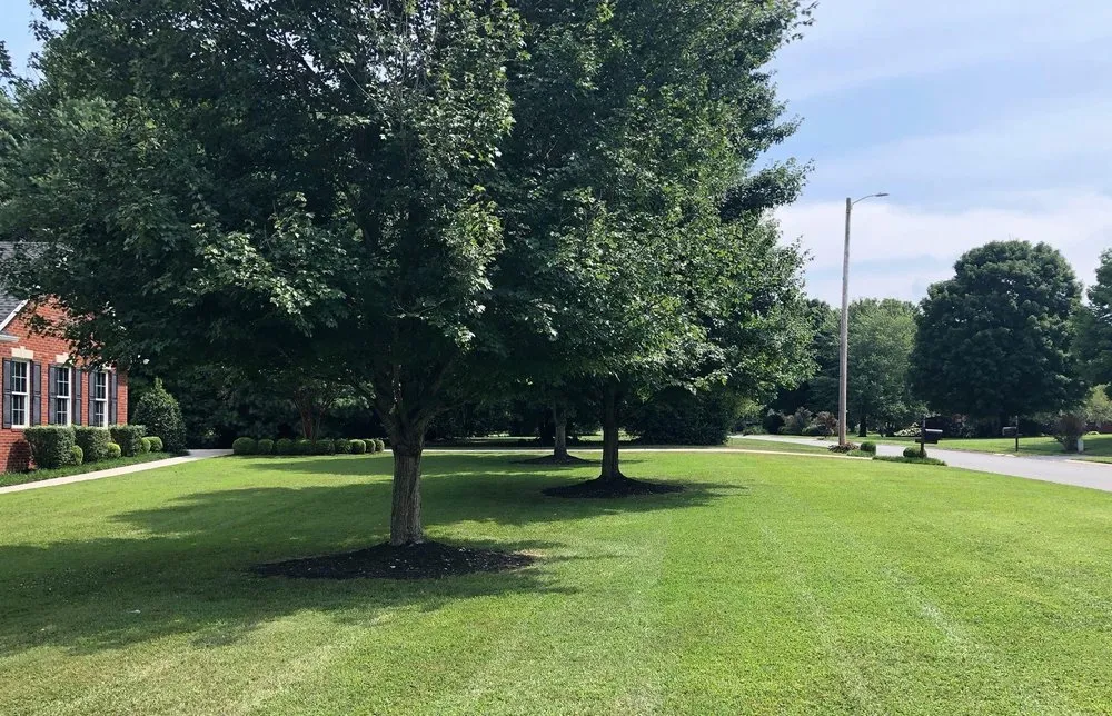 Top-rated lawn care service for year-round maintenance across Winchester, TN - B Mo’s Lawn Care