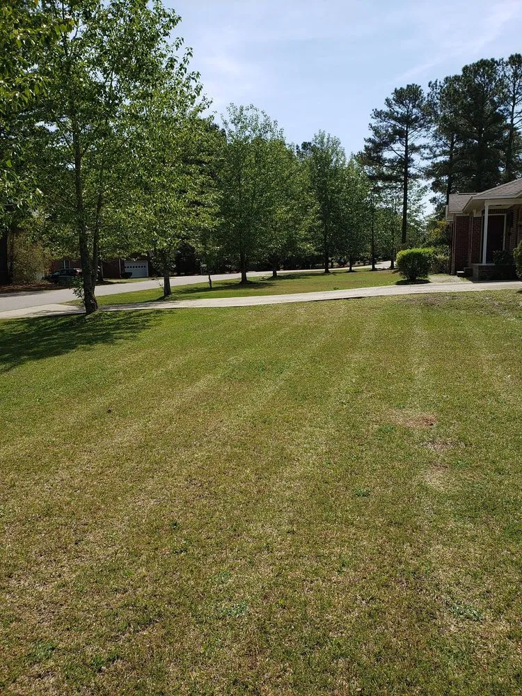 Expert landscape installation in Ellerbe, NC - B Mows Lawncare