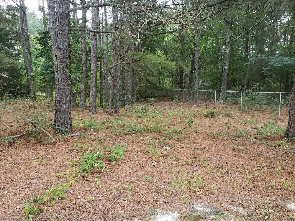 Custom landscape installation for year-round maintenance in Ellerbe, NC by B Mows Lawncare