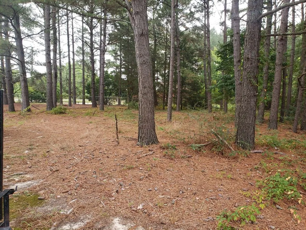 Trusted landscape design experts serving Ellerbe, NC - B Mows Lawncare