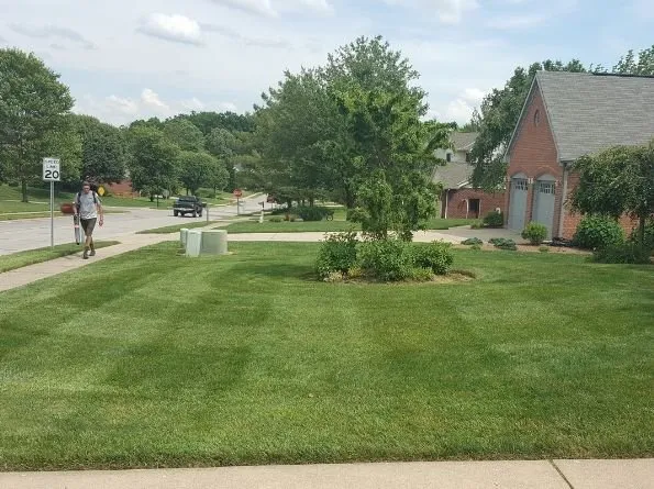 Reliable yard cleanup service in Florence, KY - B N B Lawn Mowing
