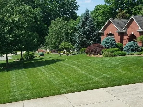 Affordable lawn care service for residential properties across Florence, KY - B N B Lawn Mowing