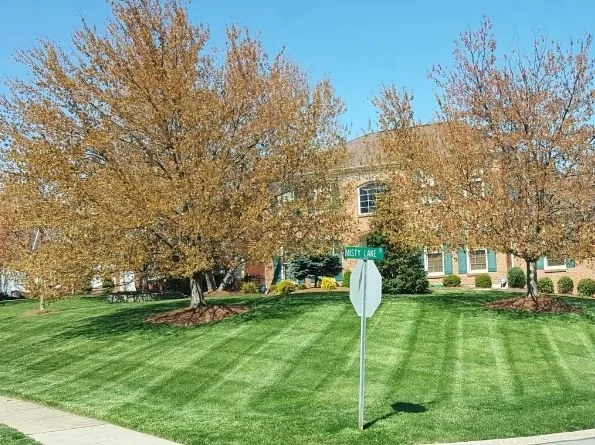 Top-rated landscape installation for homes in Florence, KY by B N B Lawn Mowing