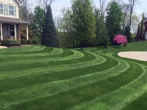 Expert residential landscaping in Florence, KY - B N B Lawn Mowing