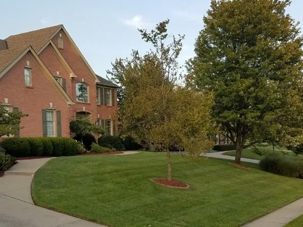 Expert lawn mowing service for year-round maintenance across Florence, KY - B N B Lawn Mowing