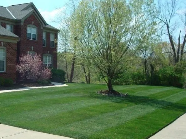 Reliable landscaping services in Florence, KY by B N B Lawn Mowing