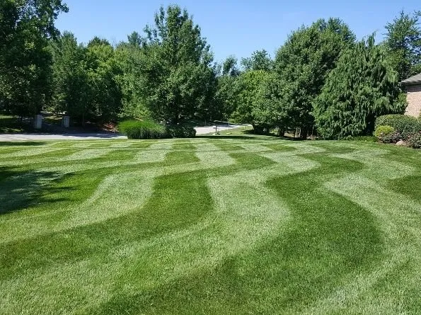 Top-rated landscape design in Florence, KY by B N B Lawn Mowing