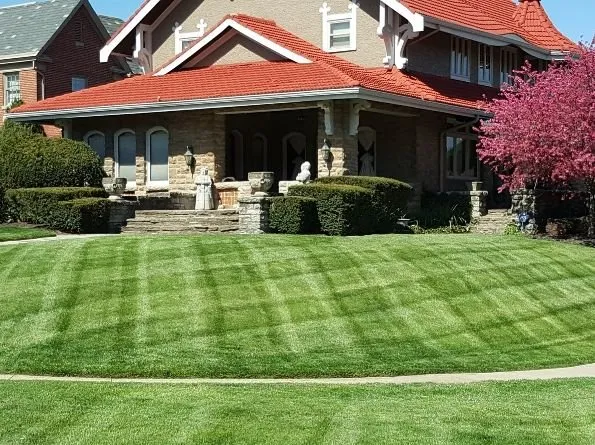 Top-rated lawn care service for year-round maintenance across Florence, KY - B N B Lawn Mowing