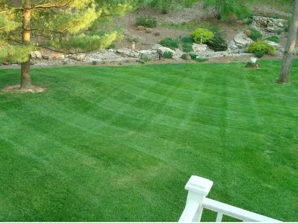 Professional landscaping services in Florence, KY by B N B Lawn Mowing