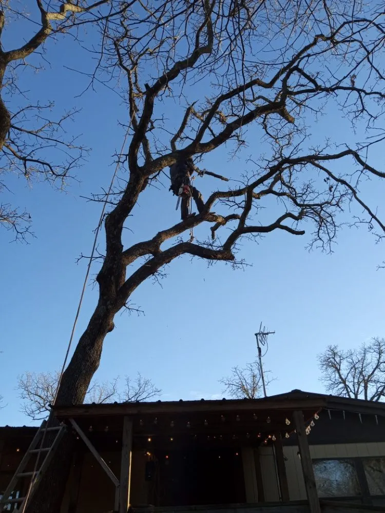 Professional garden landscaping in McLoud, OK - B N K Lawn And Tree Services