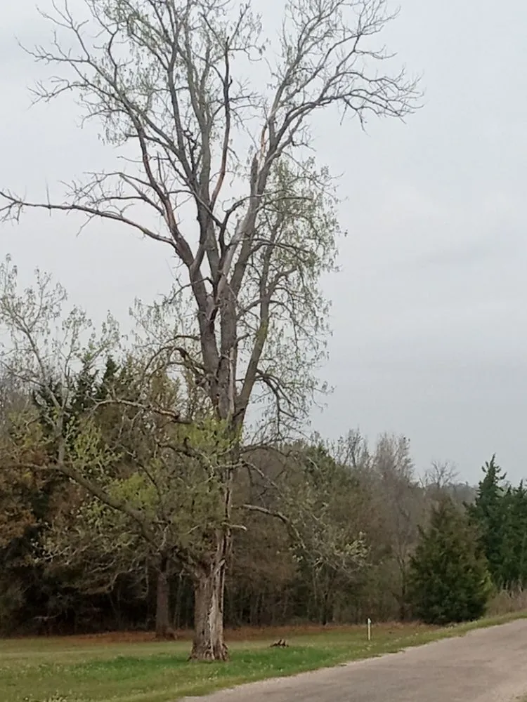 Professional lawn mowing service for beautiful yards across McLoud, OK - B N K Lawn And Tree Services