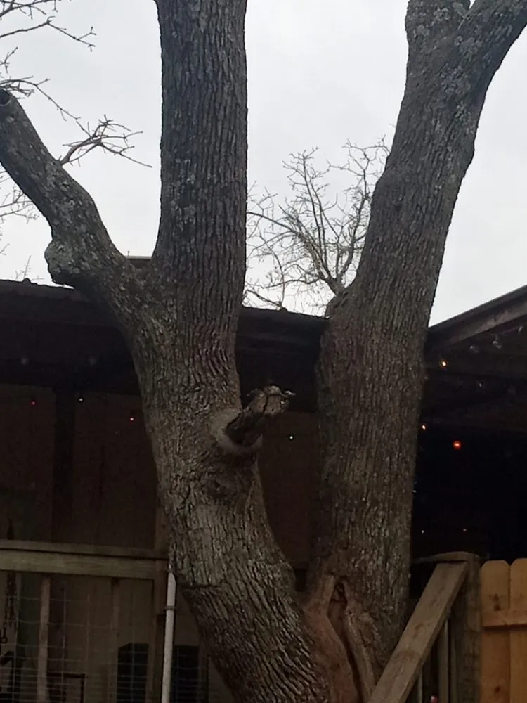 Reliable landscape design for year-round maintenance in McLoud, OK by B N K Lawn And Tree Services