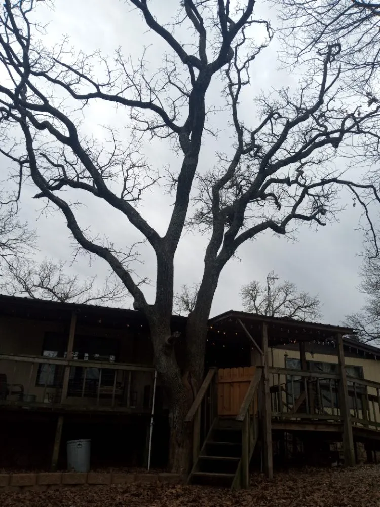 Local yard maintenance in McLoud, OK - B N K Lawn And Tree Services