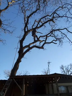 B N K Lawn And Tree Services