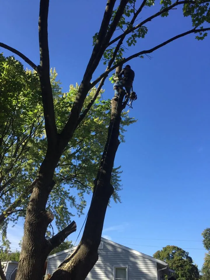 Top-rated outdoor landscaping near you across Trumansburg, NY - B-N-R Landscaping