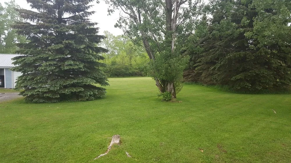 Local yard cleanup service with custom design in Trumansburg, NY by B-N-R Landscaping