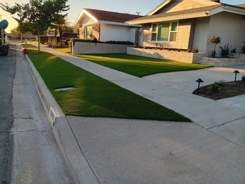 Affordable yard cleanup service with custom design in Fullerton, CA by B P General