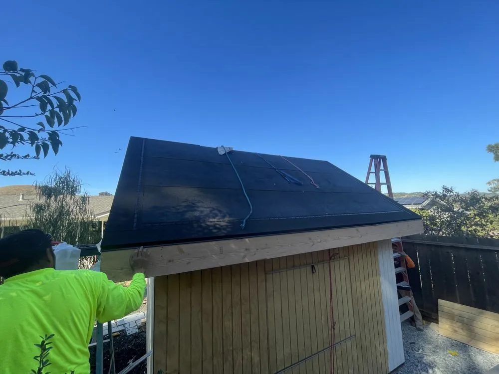 Trusted landscaping services for year-round maintenance in San Rafael, CA by B P Lopez Landscape