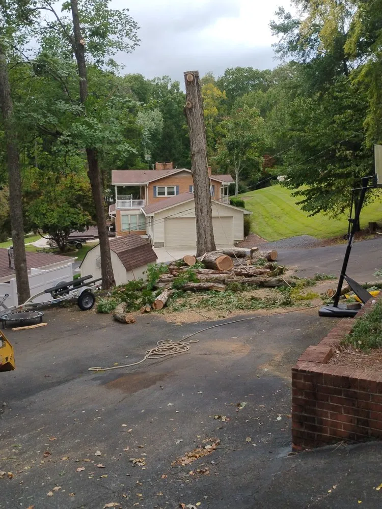 Reliable lawn mowing service in Albemarle, NC - B S Lawncare and Stump Grinding