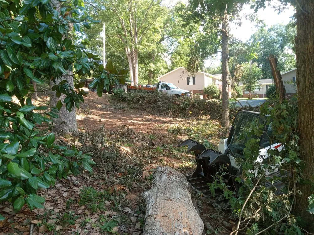 Local yard cleanup service experts serving Albemarle, NC - B S Lawncare and Stump Grinding