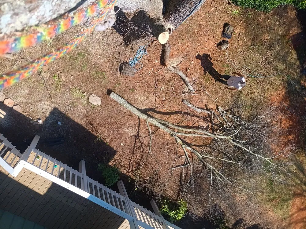 Trusted garden landscaping for homes in Albemarle, NC by B S Lawncare and Stump Grinding