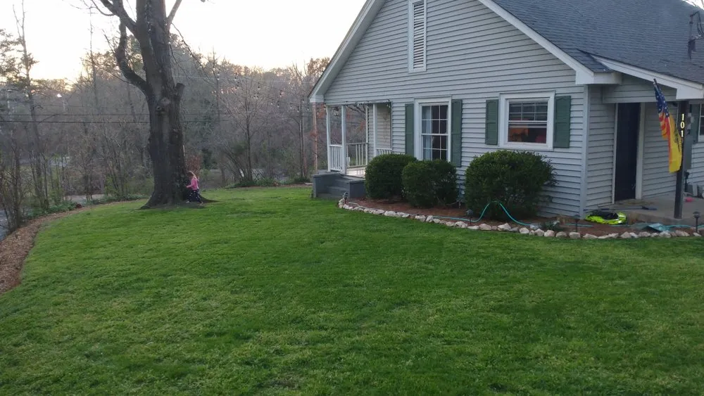 Expert yard cleanup service in Albemarle, NC - B S Lawncare and Stump Grinding