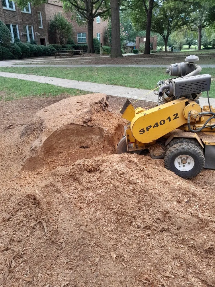 Professional lawn care service in Albemarle, NC by B S Lawncare and Stump Grinding