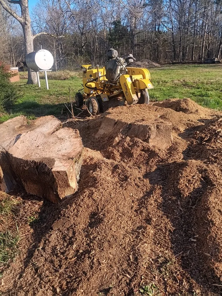 Expert lawn mowing service for residential properties across Albemarle, NC - B S Lawncare and Stump Grinding