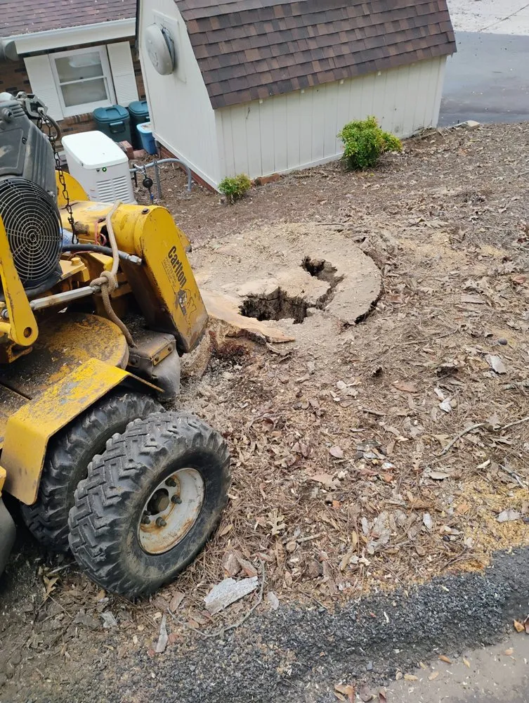 Custom outdoor landscaping for beautiful yards across Albemarle, NC - B S Lawncare and Stump Grinding