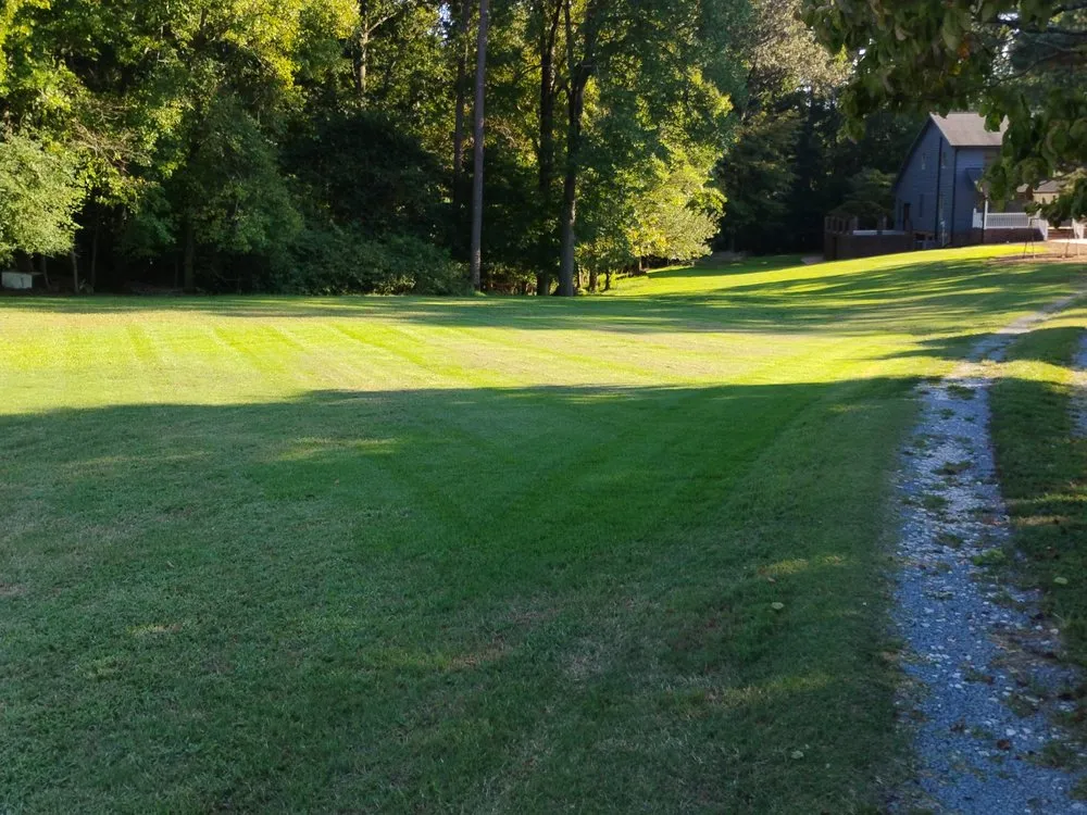 Professional garden landscaping experts serving Albemarle, NC - B S Lawncare and Stump Grinding