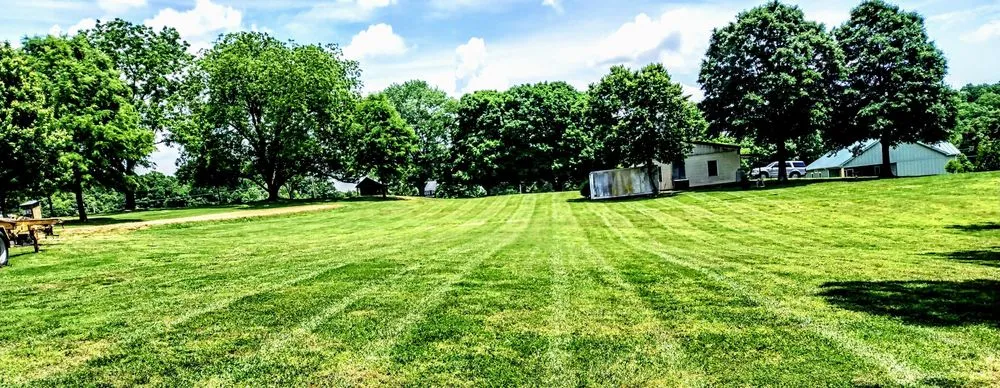 Trusted lawn care service experts serving Albemarle, NC - B S Lawncare and Stump Grinding